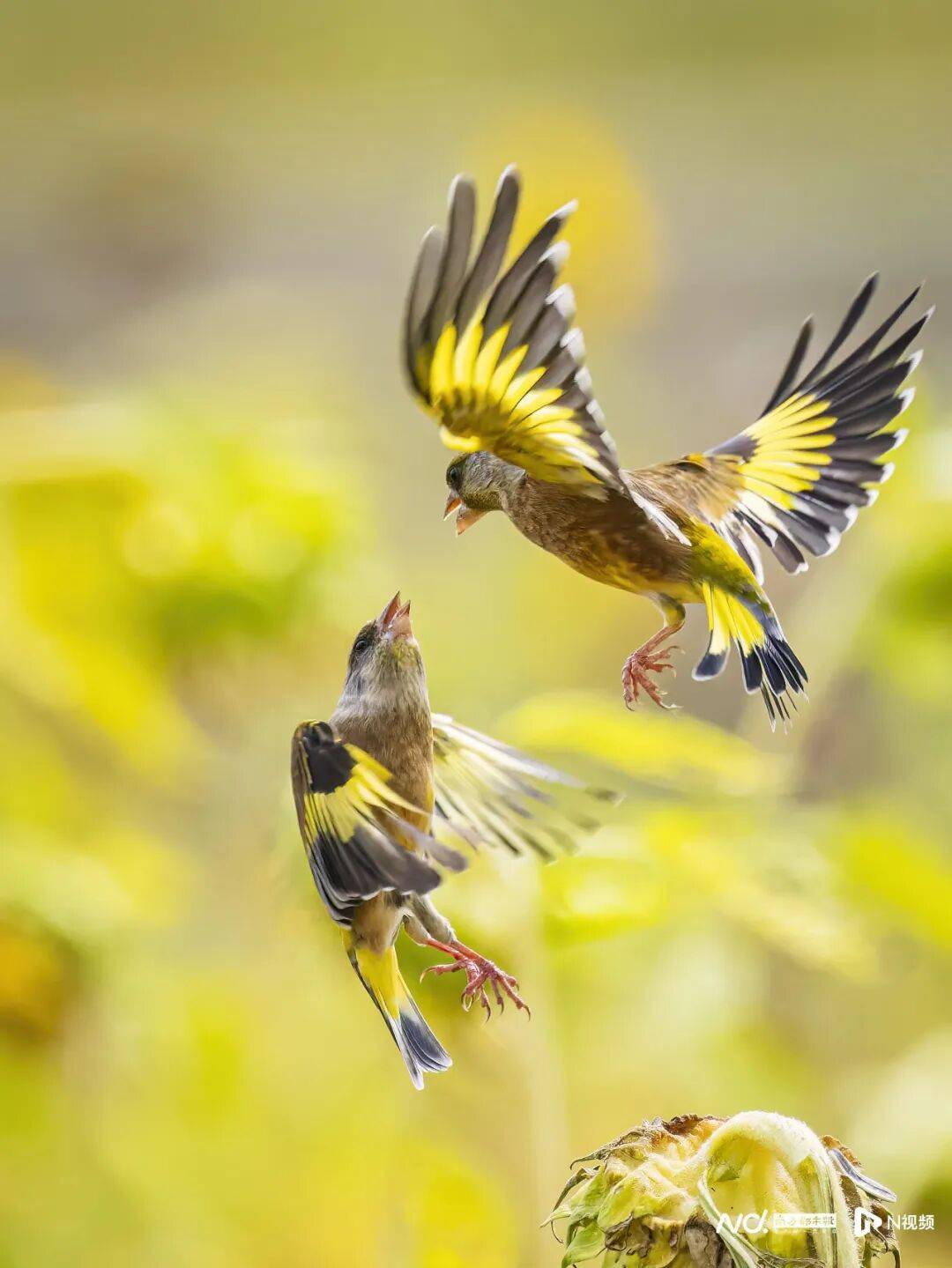 皇冠信用盘最新地址
_东莞最新发布：将严厉打击这些行为皇冠信用盘最新地址
！